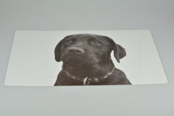 Velké vinylové prostírání (56x37cm) - Labrador