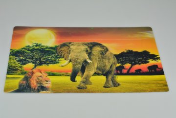 3D prostírání s měnícím se efektem (42x28cm) - Afrika